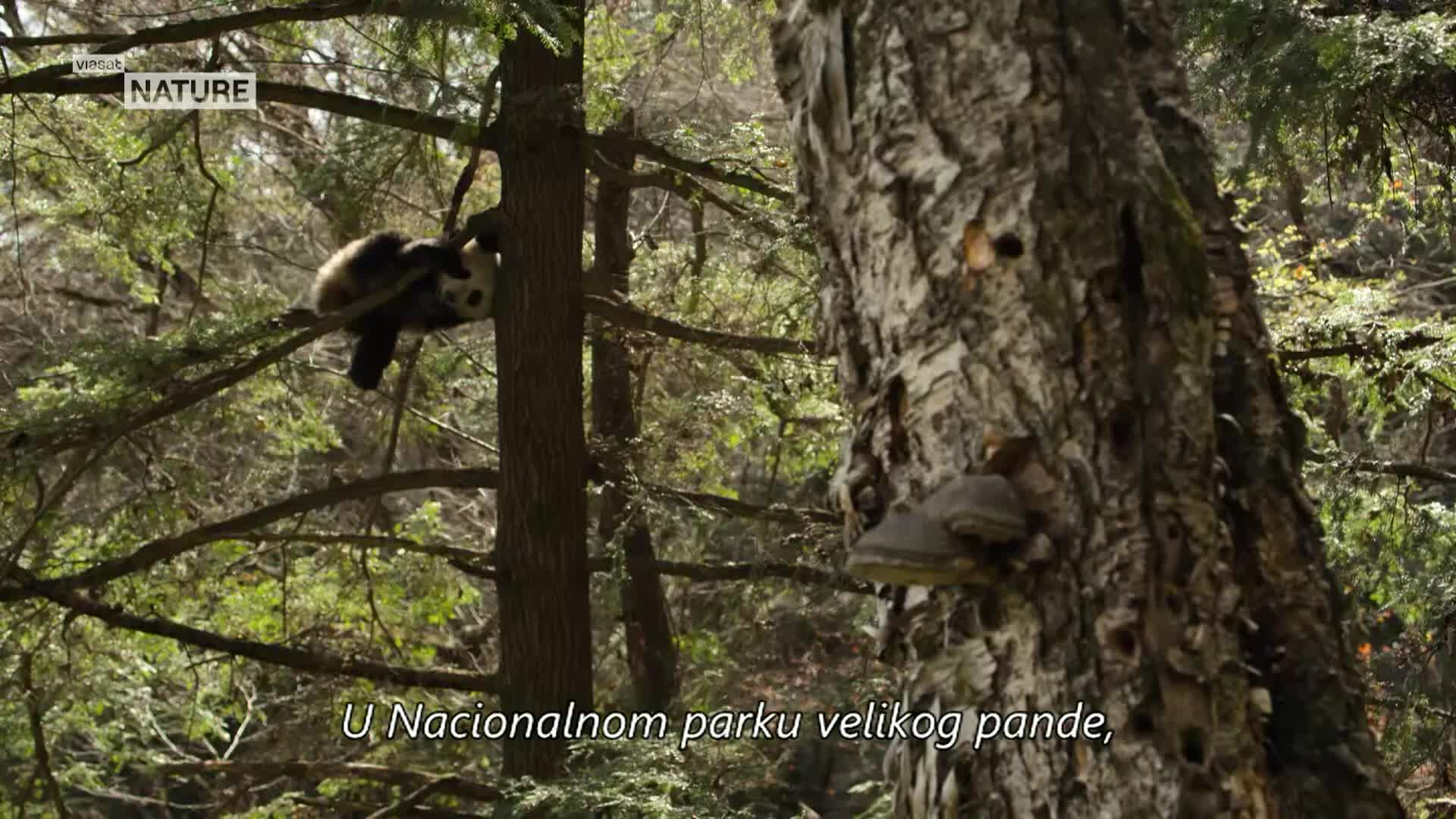 ViasatNature