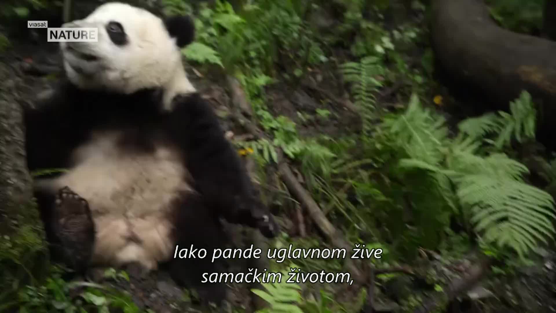ViasatNature