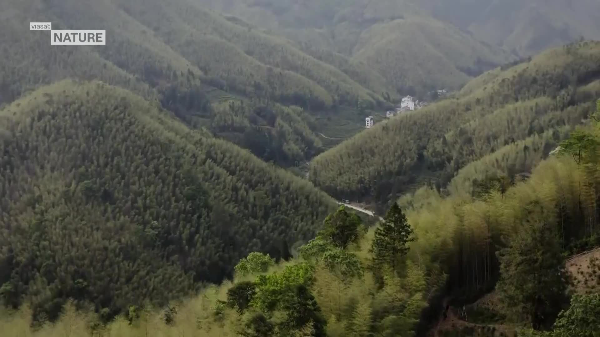 ViasatNature