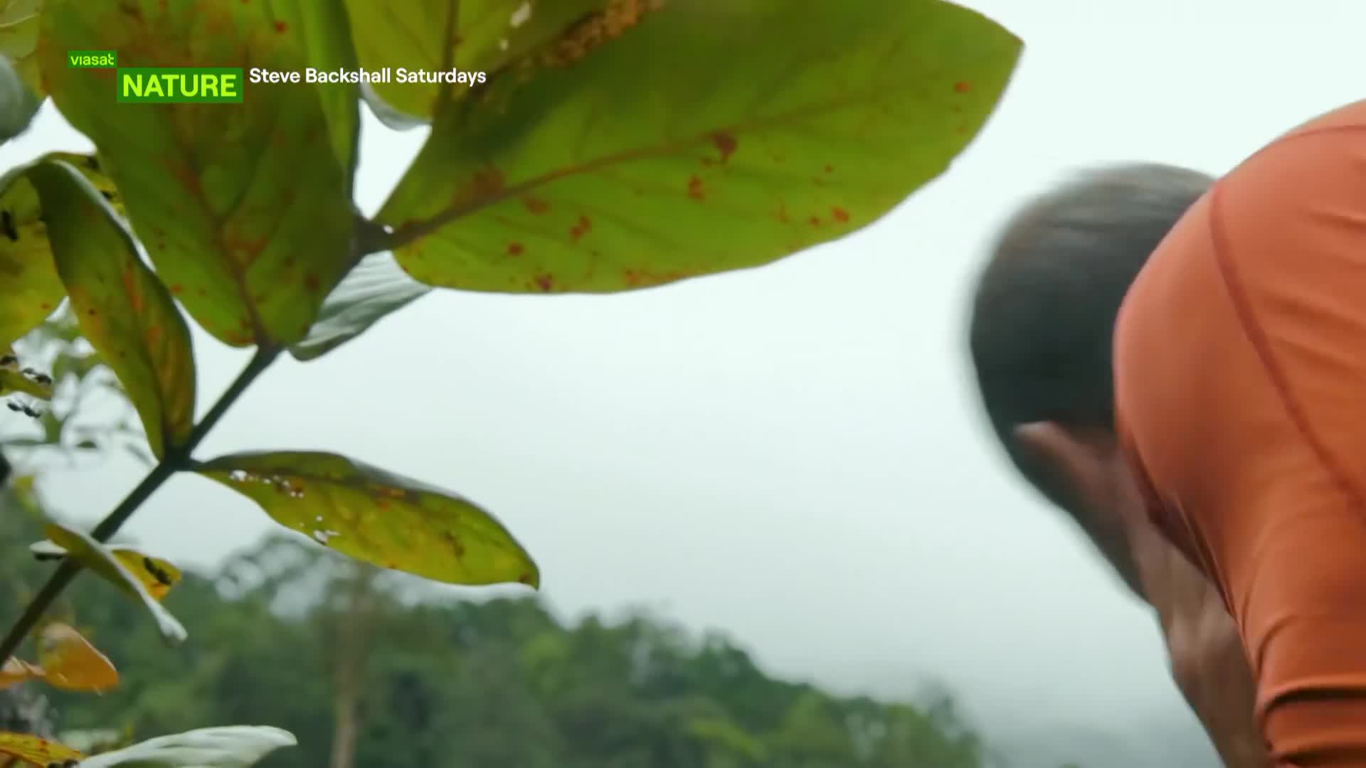 ViasatNature