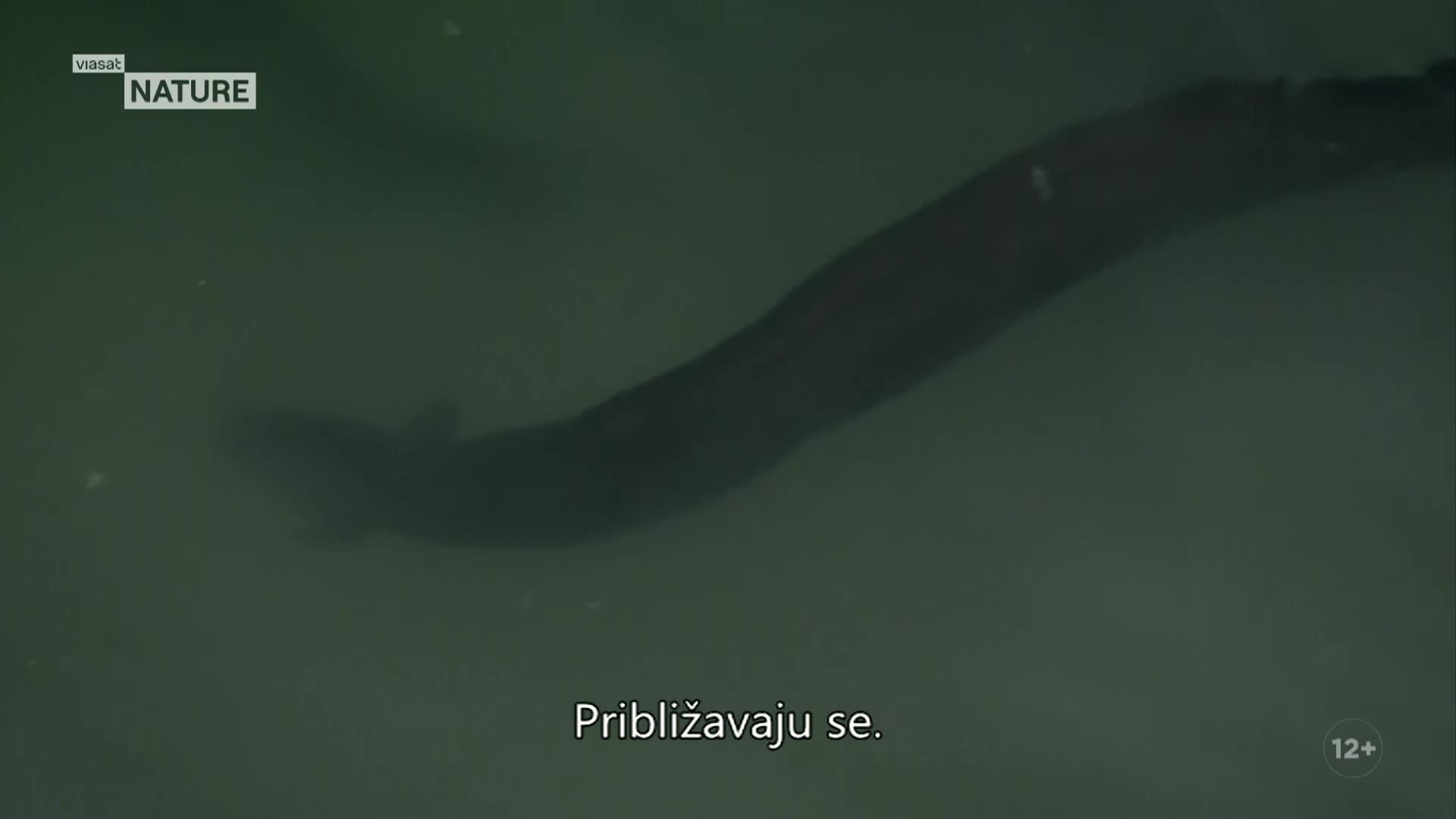 ViasatNature