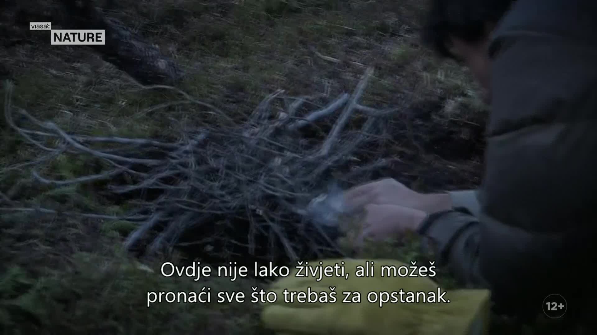 ViasatNature