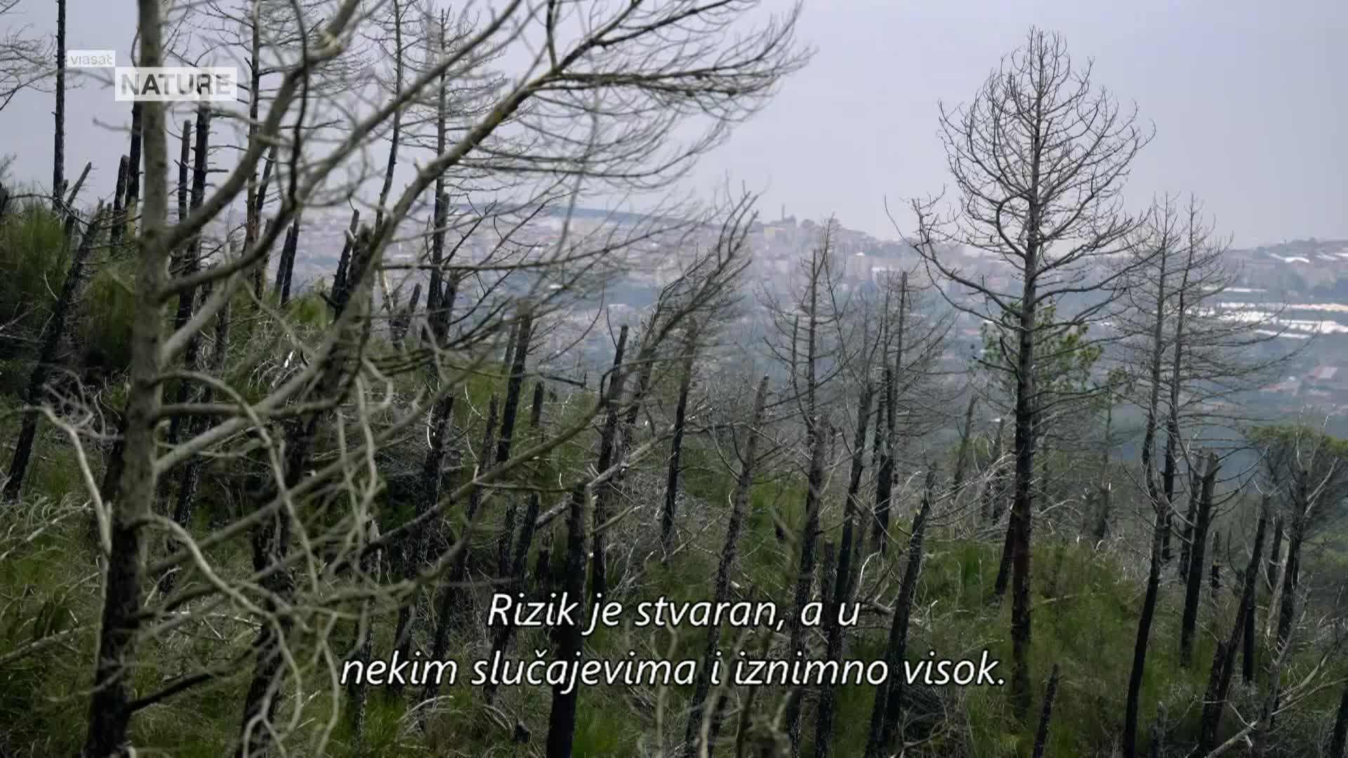 ViasatNature