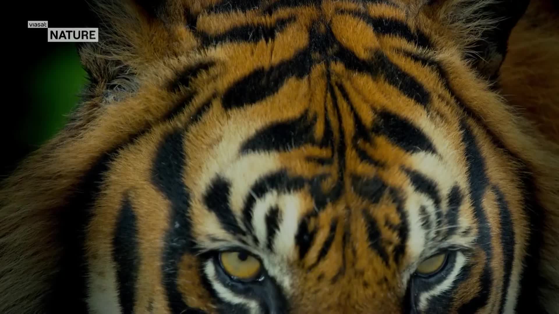 ViasatNature