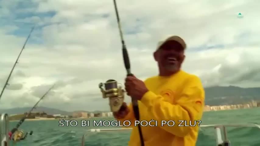 AXNSpin