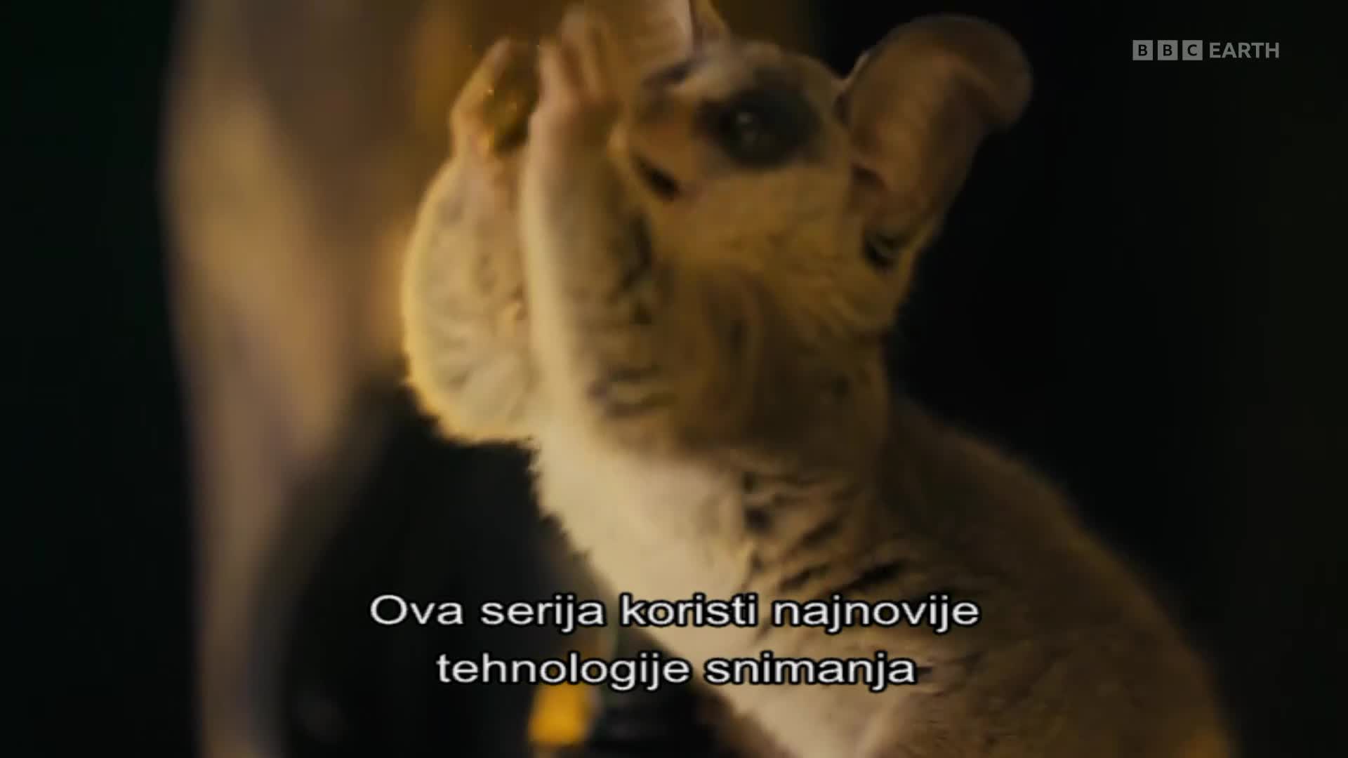 BBCEarth
