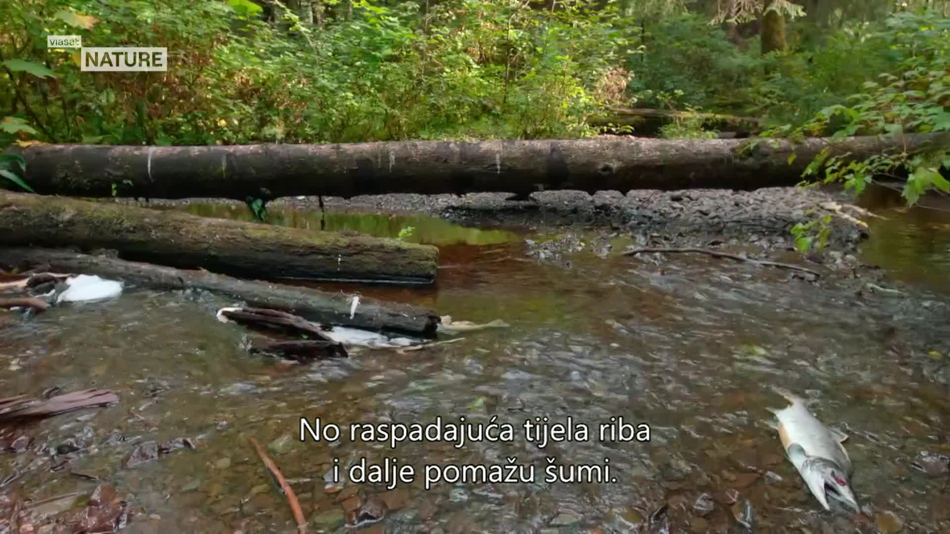 ViasatNature