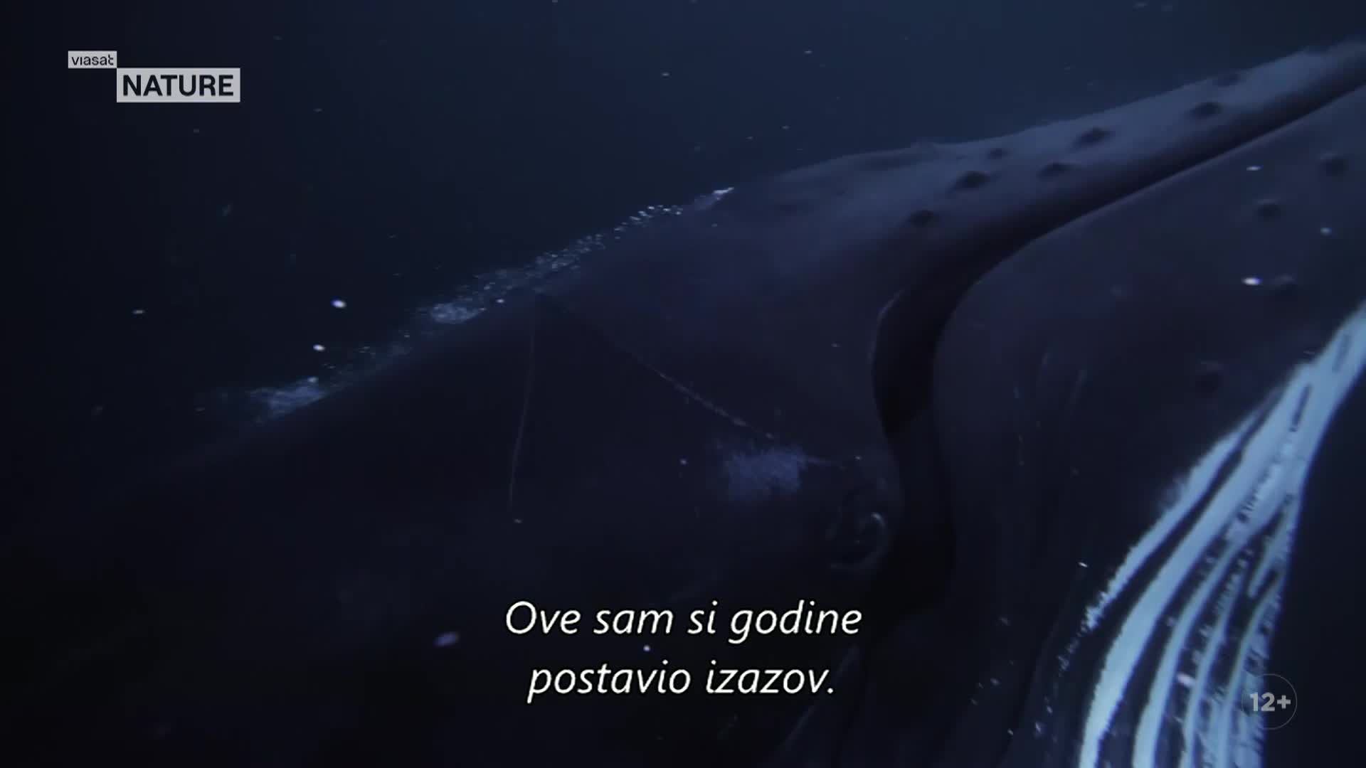 ViasatNature