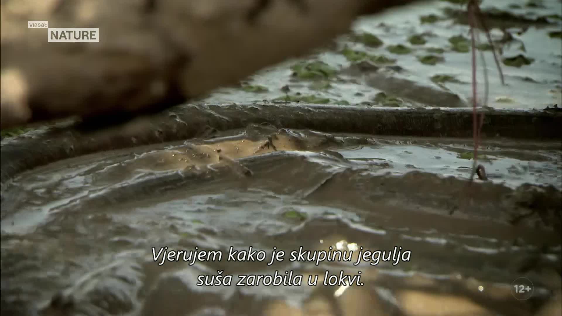 ViasatNature