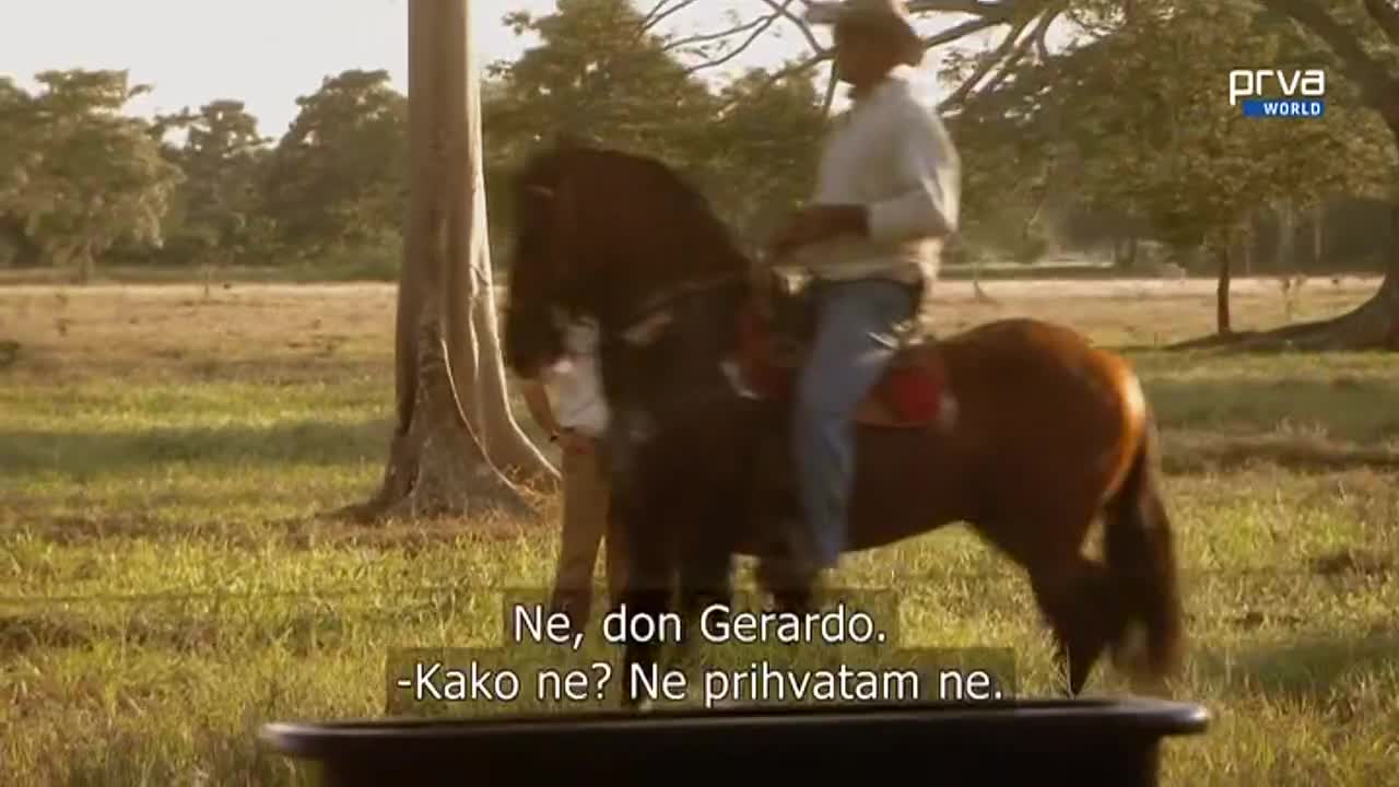 PrvaWorld