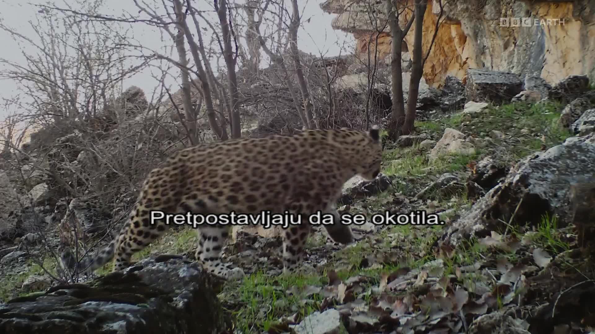 BBCEarth