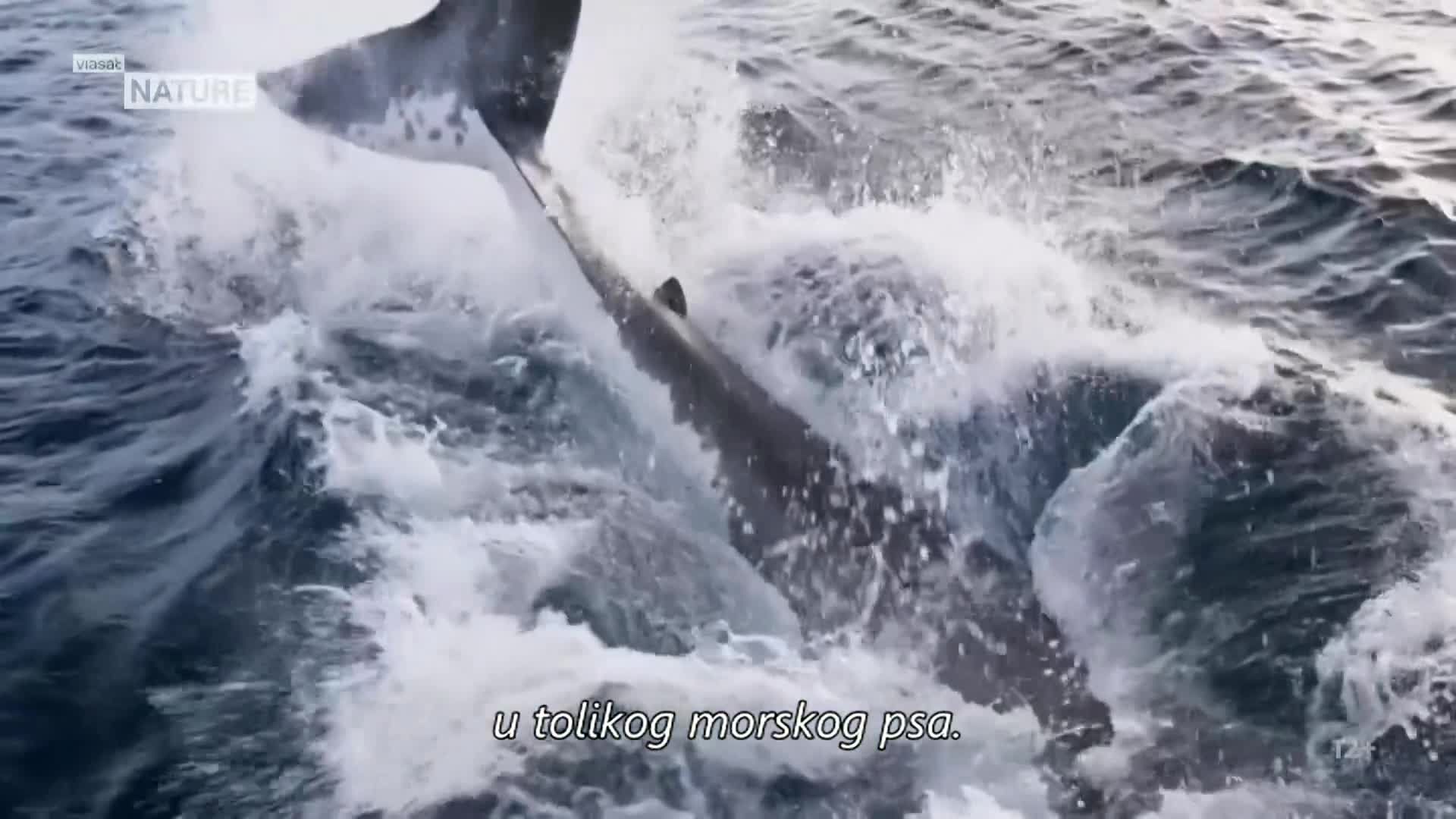 ViasatNature