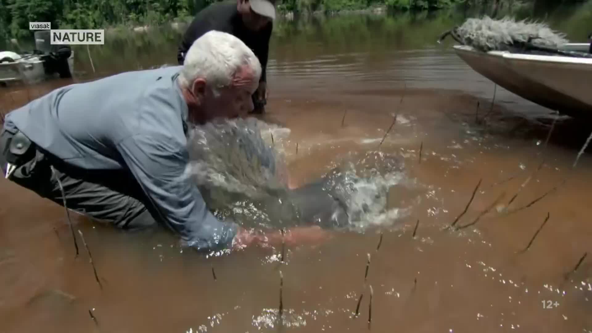 ViasatNature
