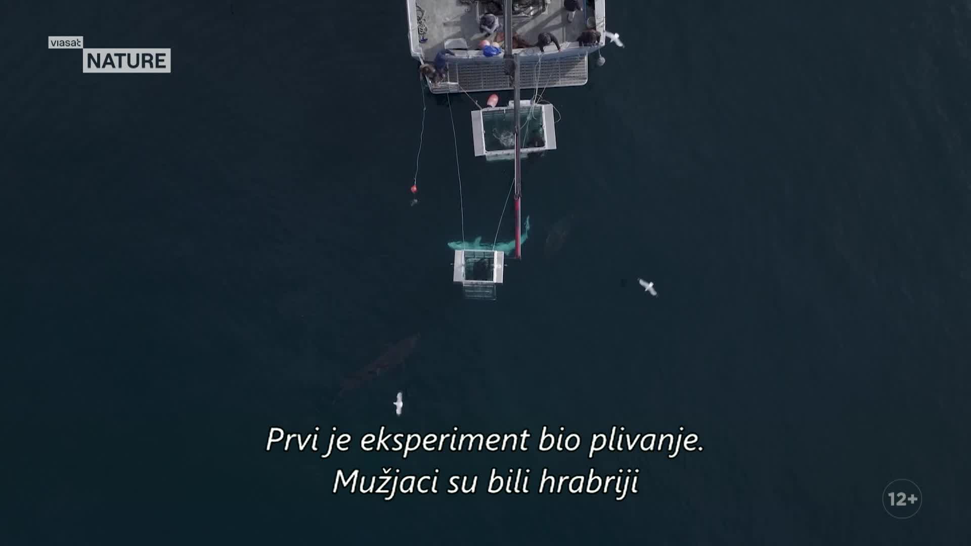 ViasatNature