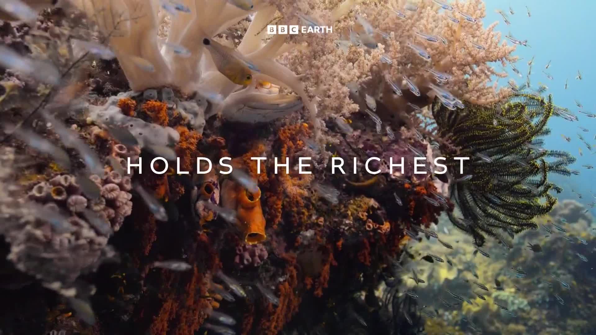 BBCEarth