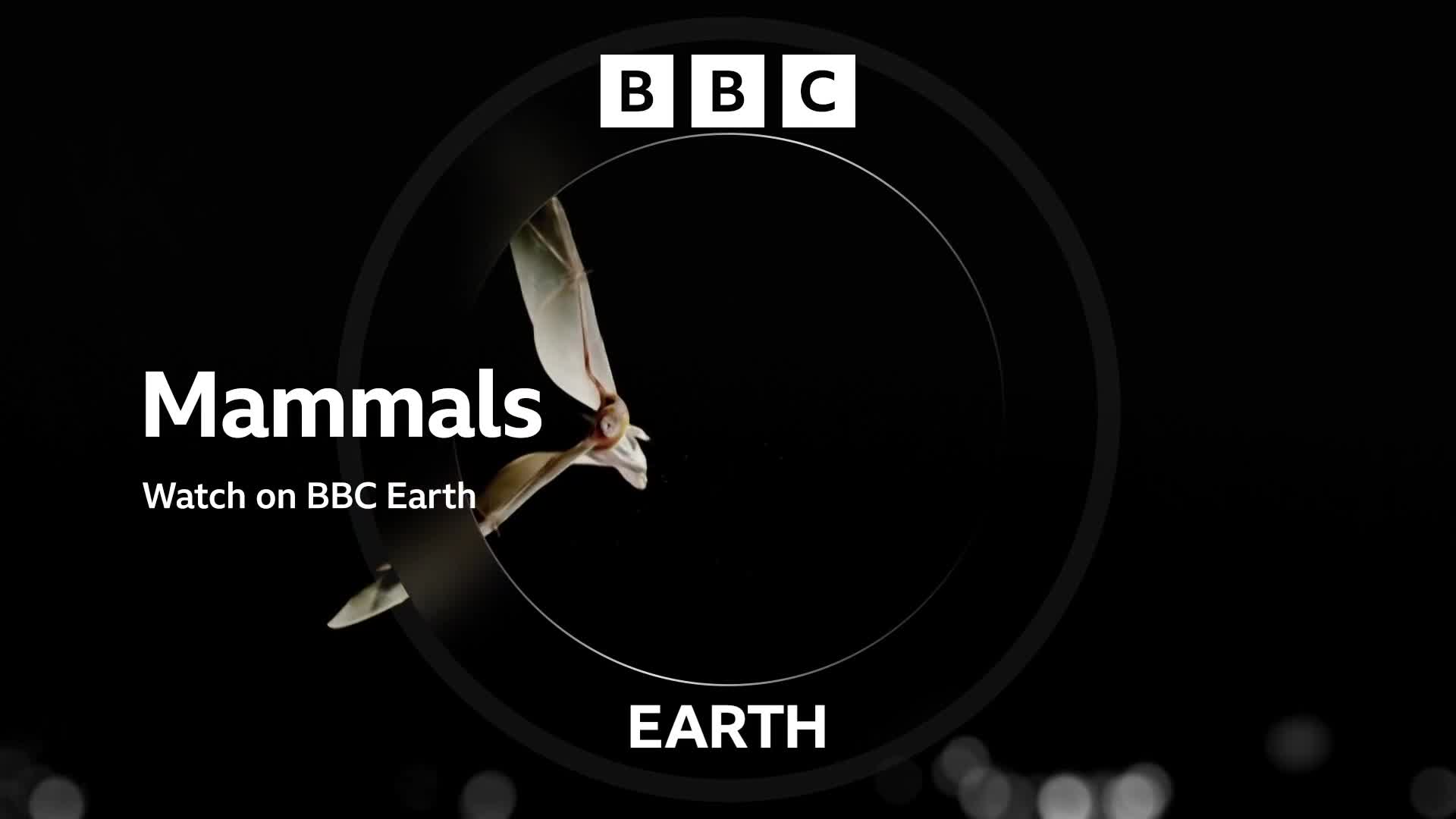 BBCEarth