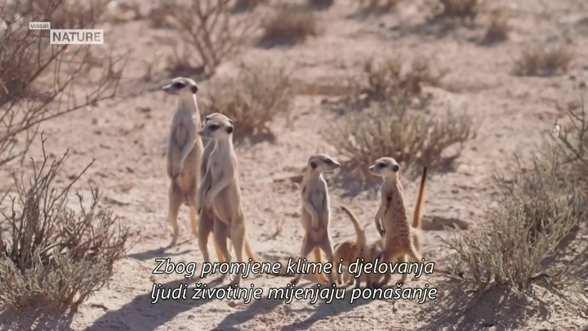 ViasatNature