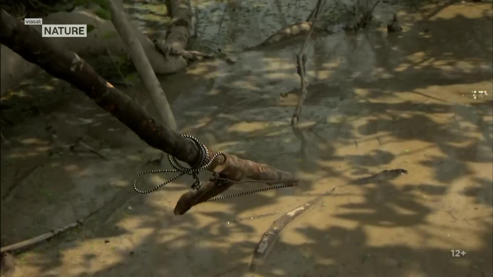 ViasatNature