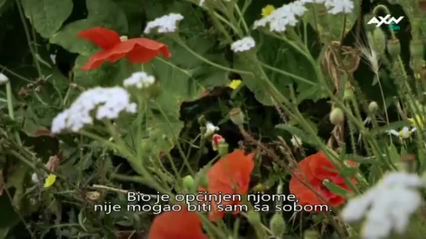 AXNSpin