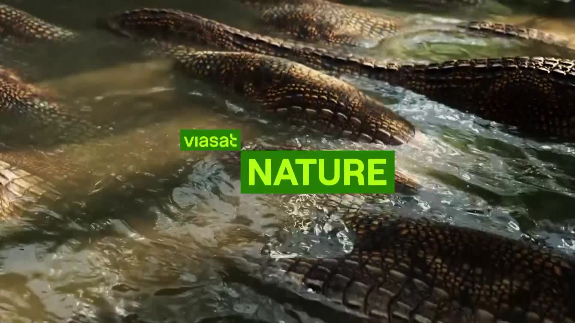 ViasatNature