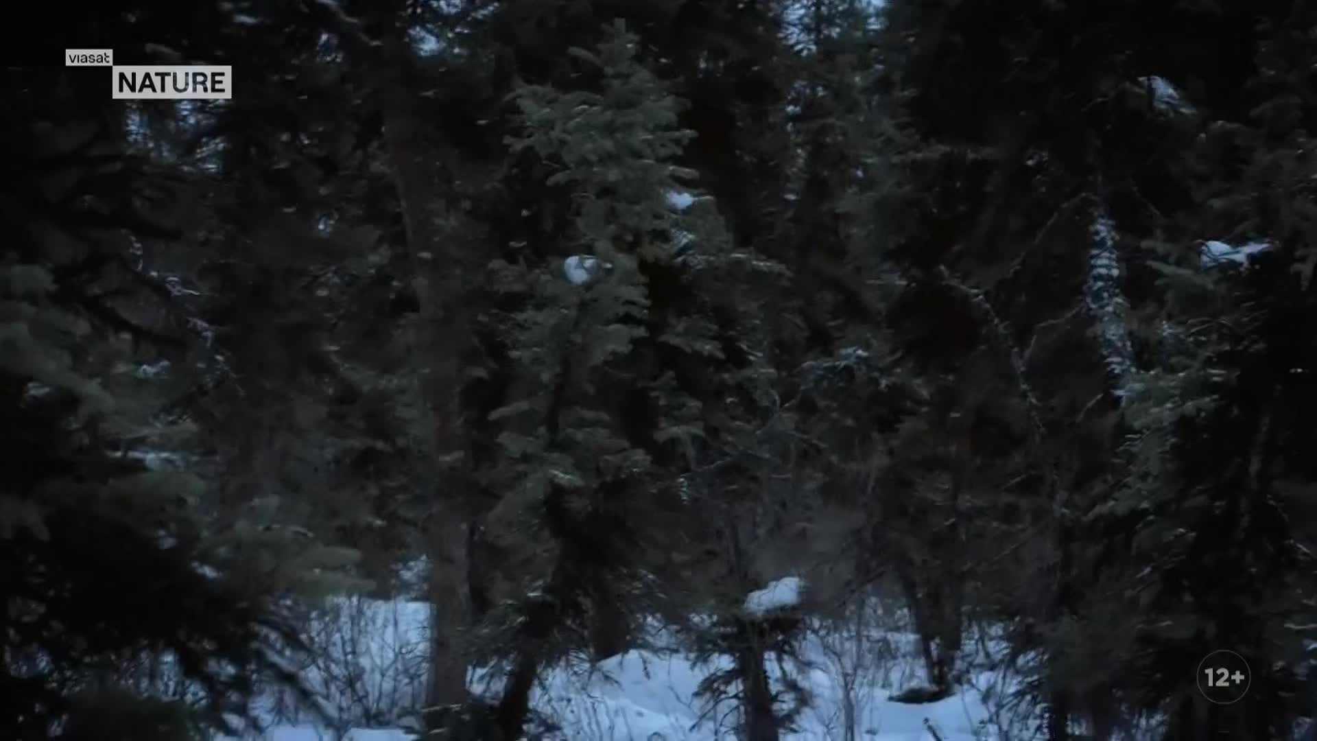 ViasatNature
