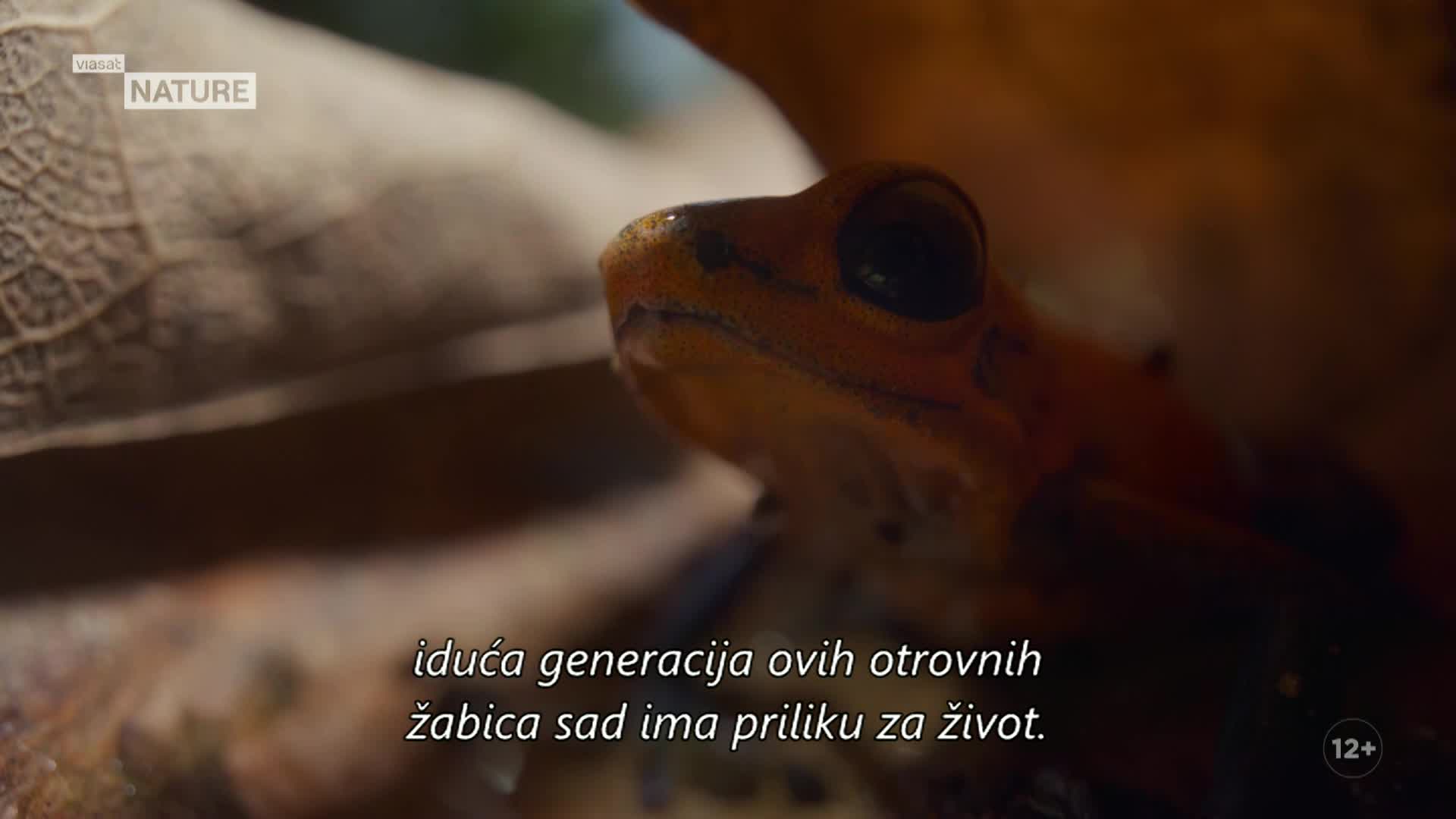 ViasatNature