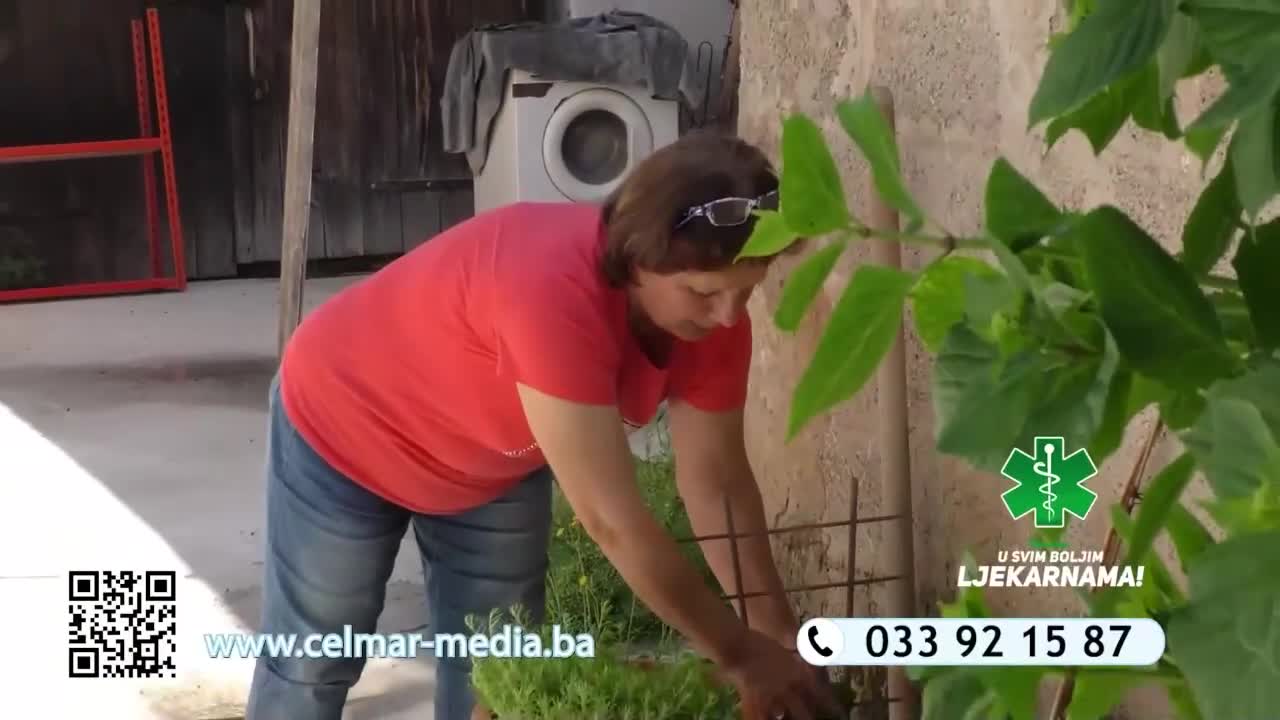 FaceTV