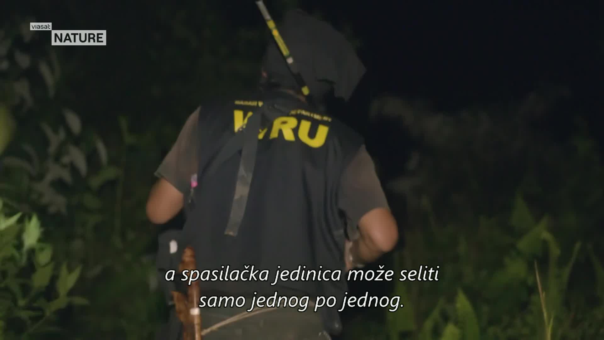ViasatNature