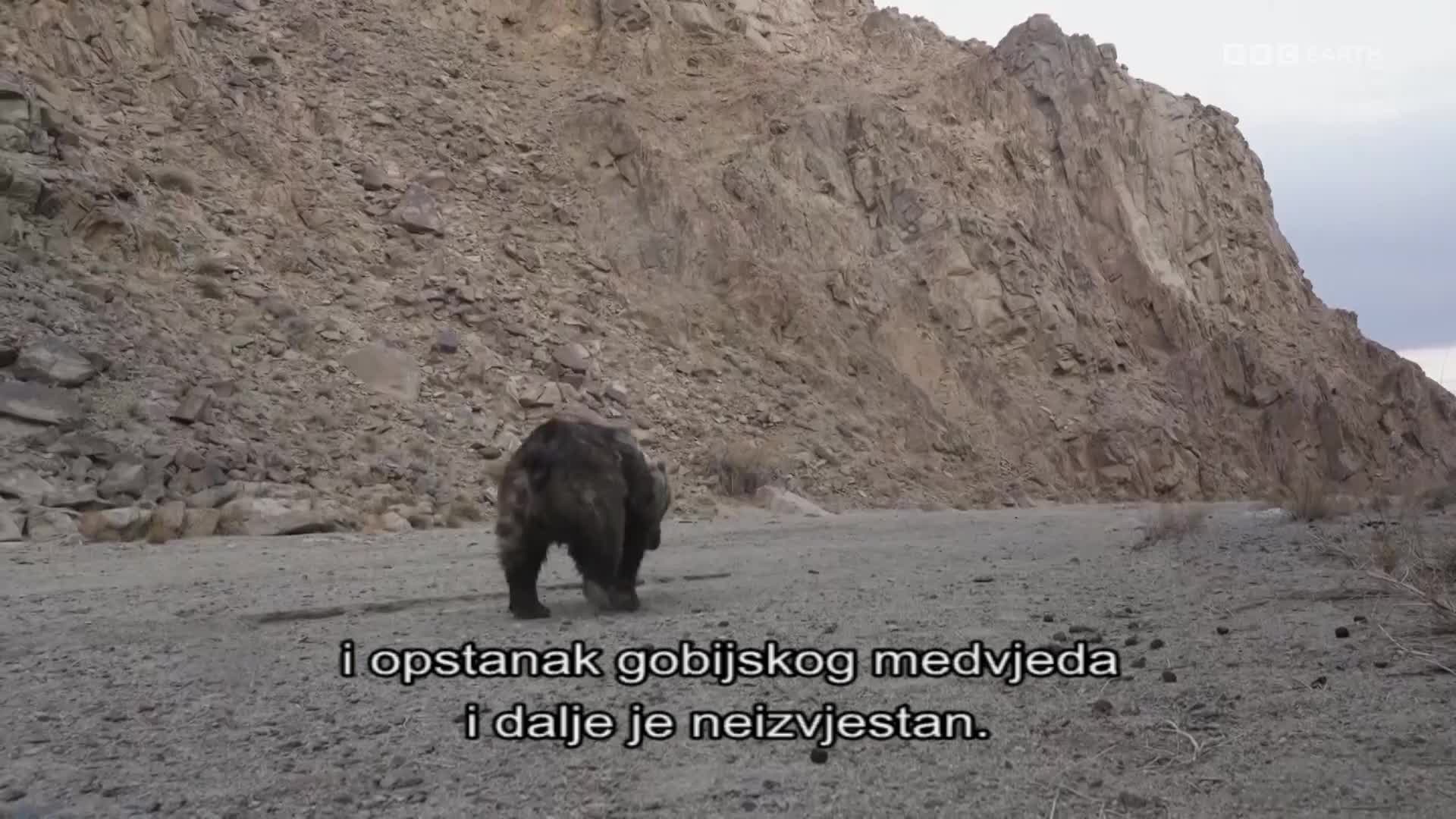BBCEarth