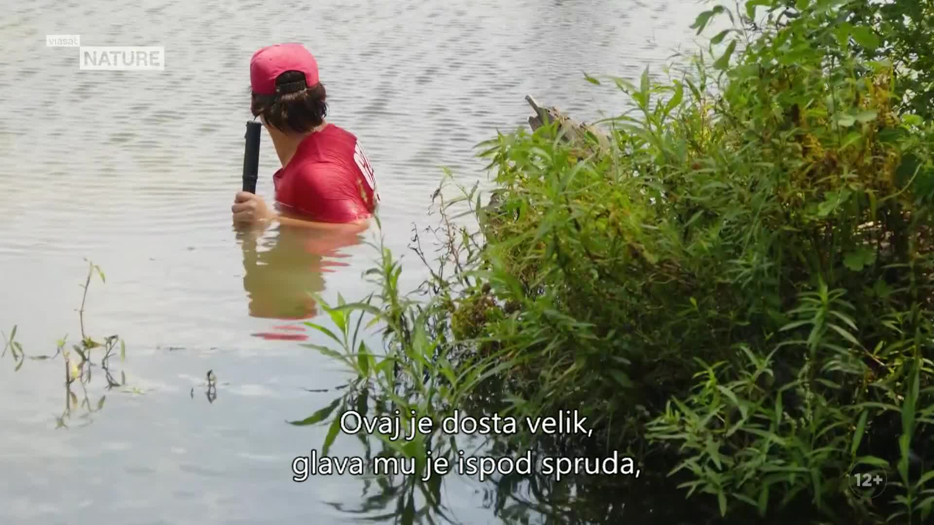 ViasatNature