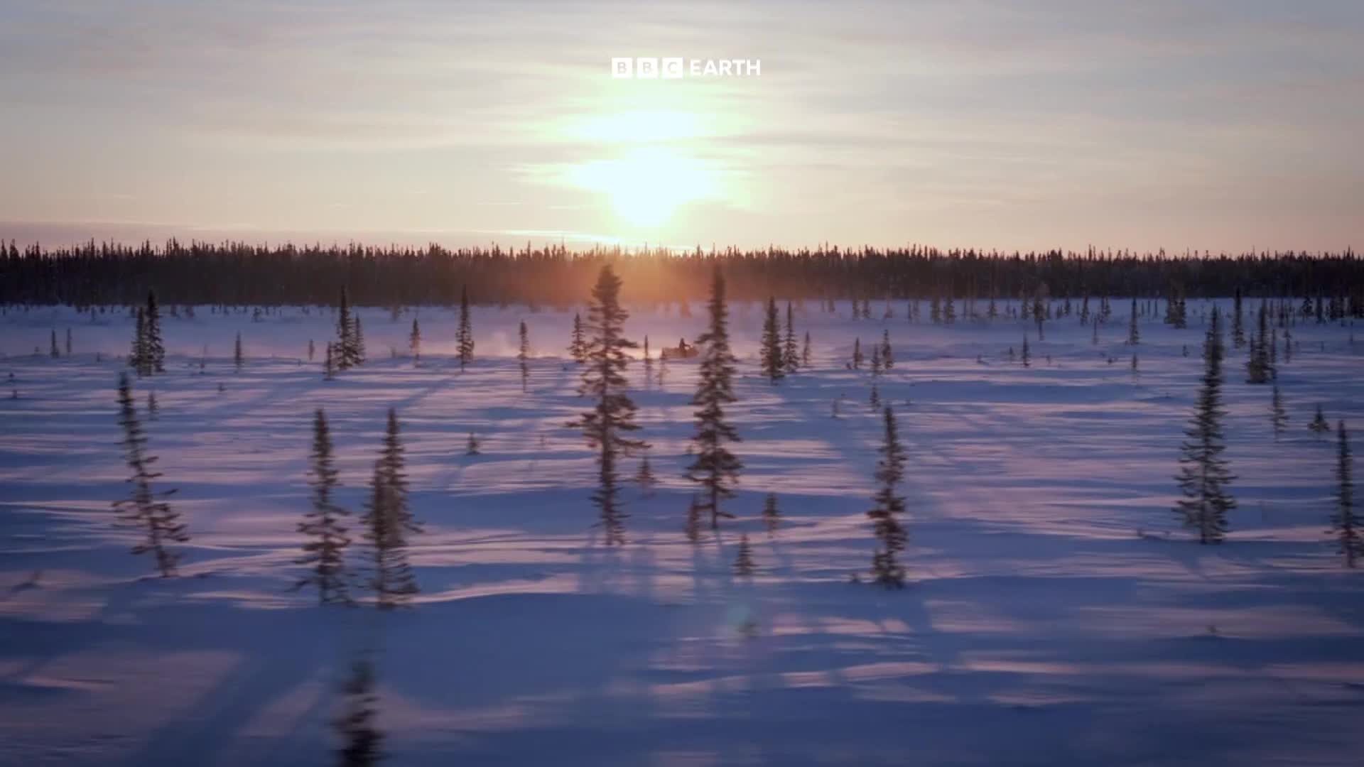 BBCEarth