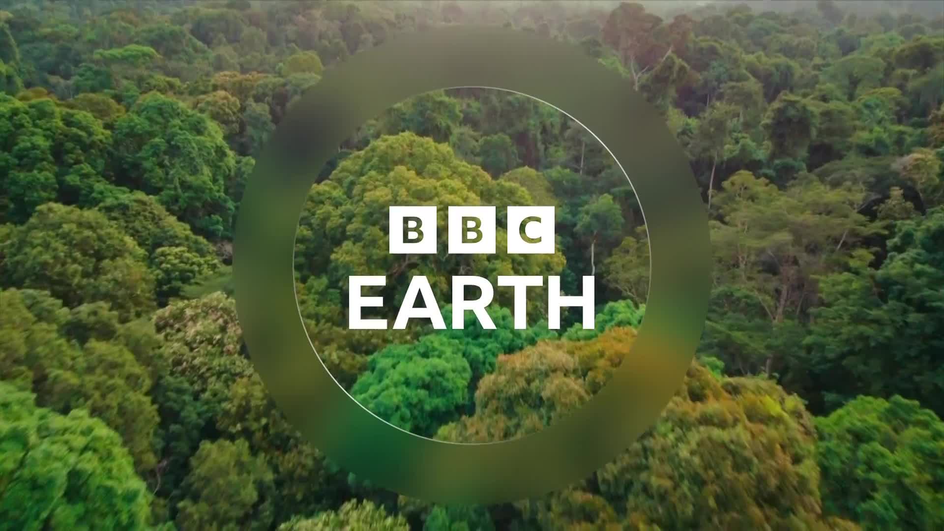 BBCEarth