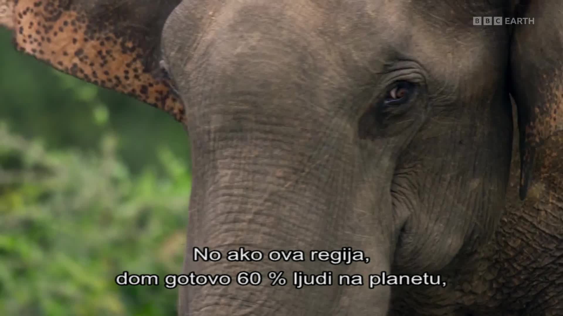 BBCEarth