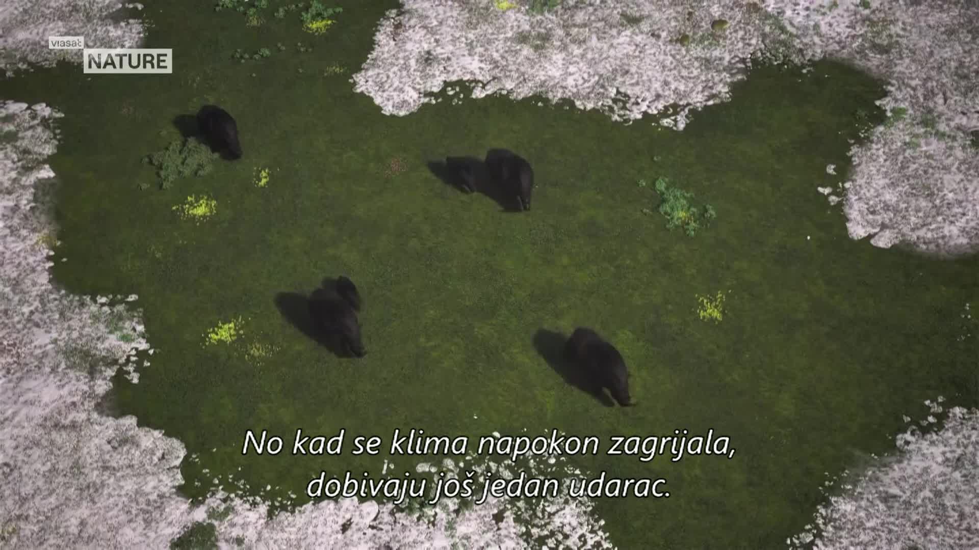 ViasatNature
