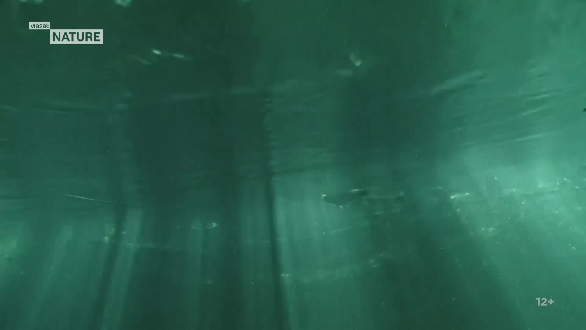 ViasatNature