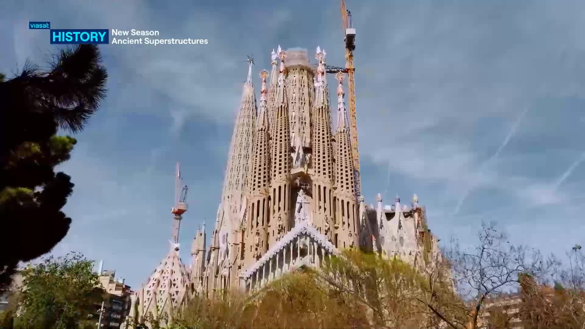 TV1000