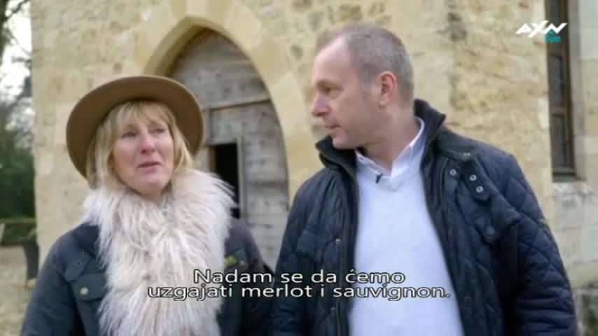 AXNSpin
