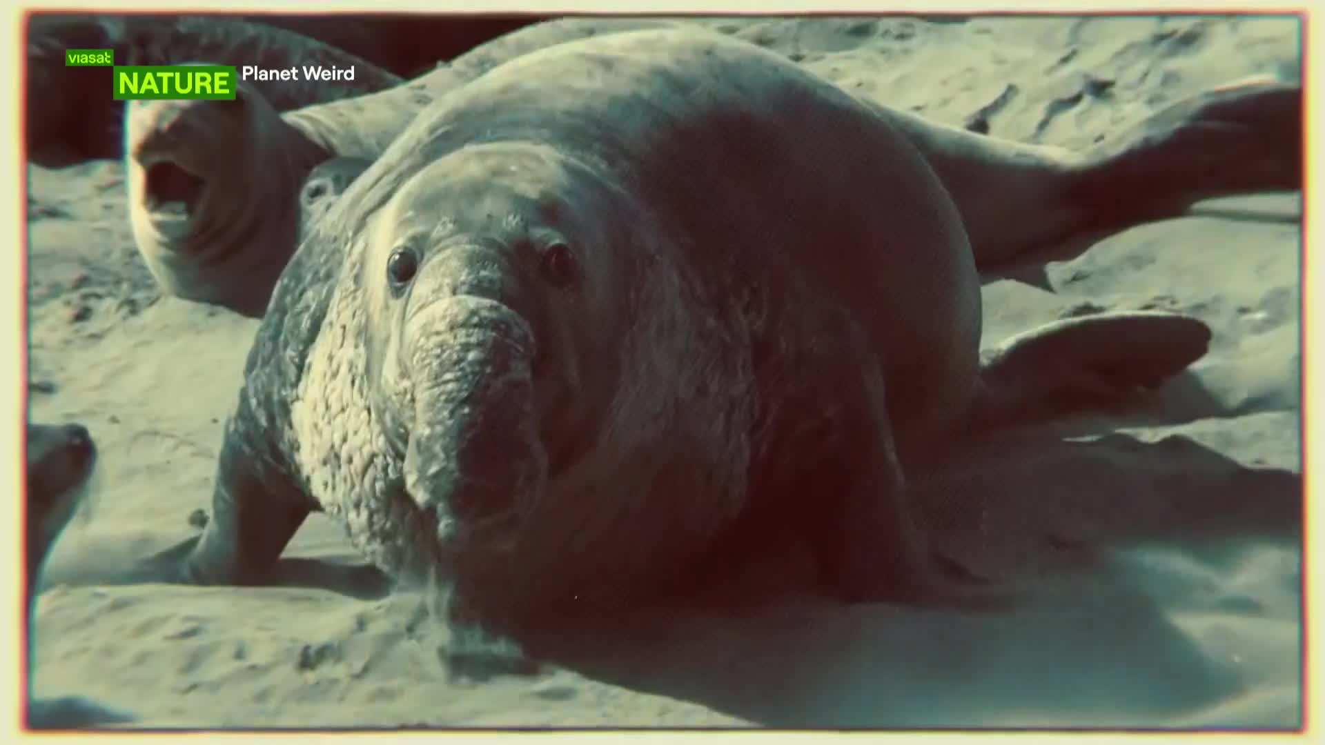 ViasatNature