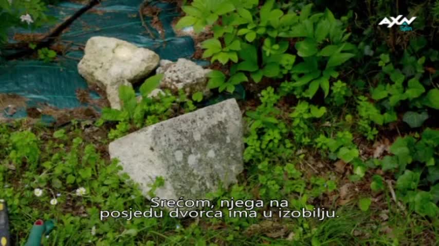 AXNSpin