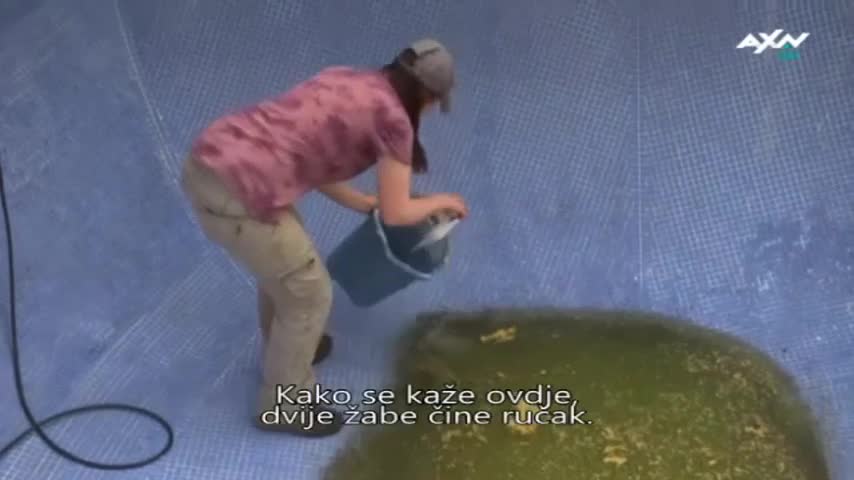 AXNSpin