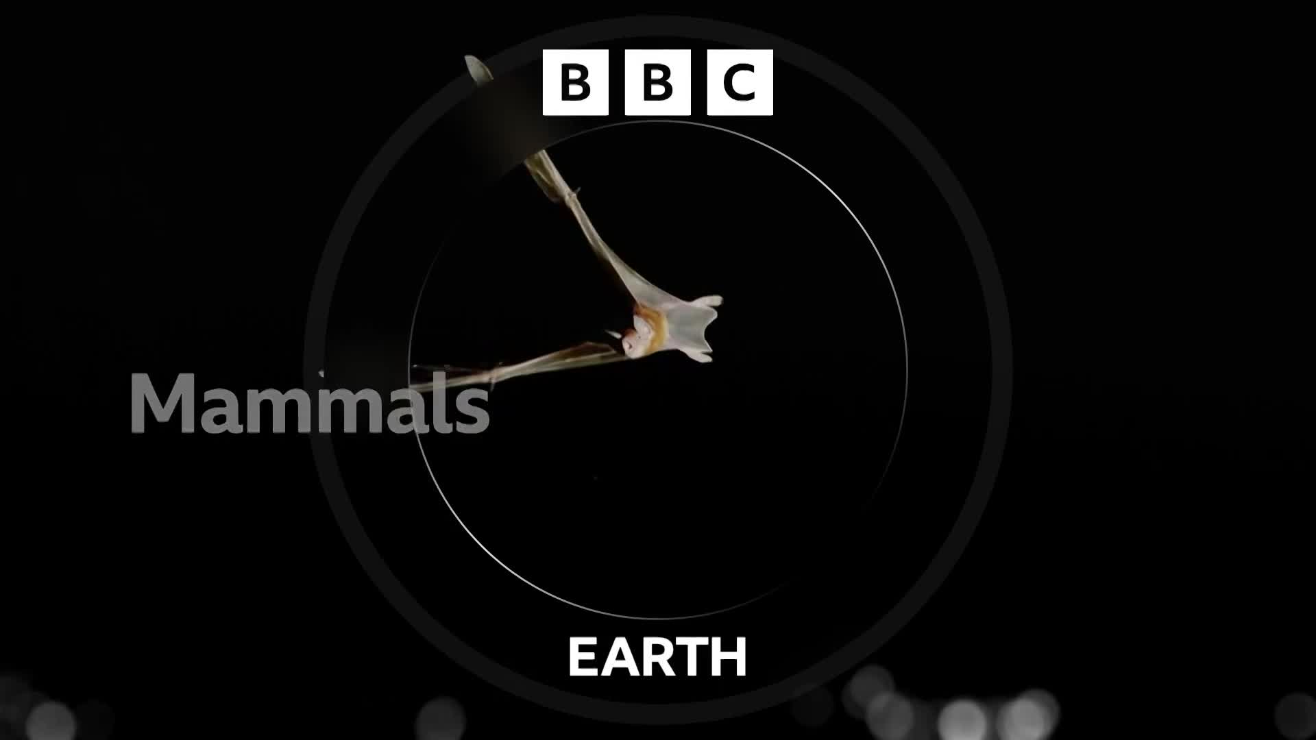 BBCEarth