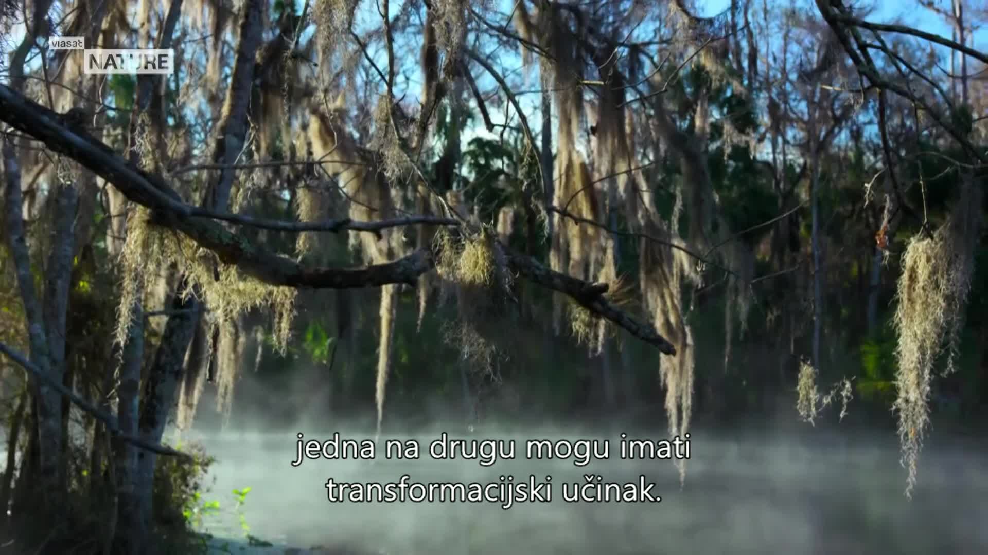 ViasatNature
