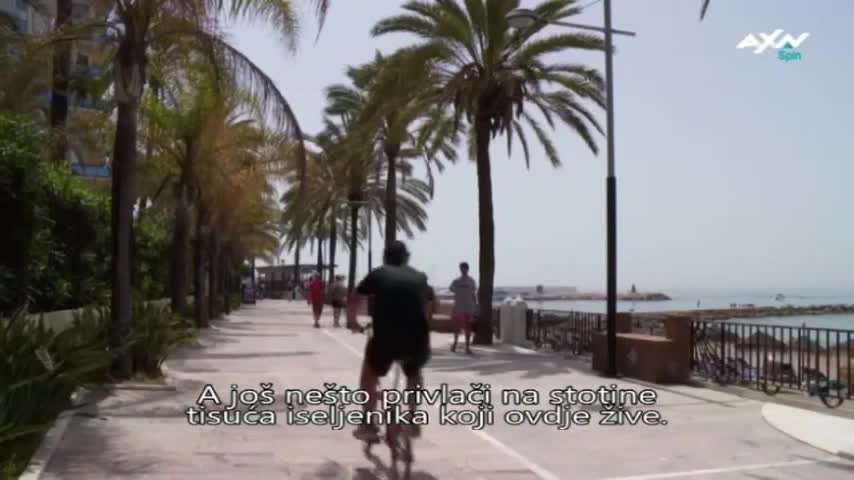 AXNSpin