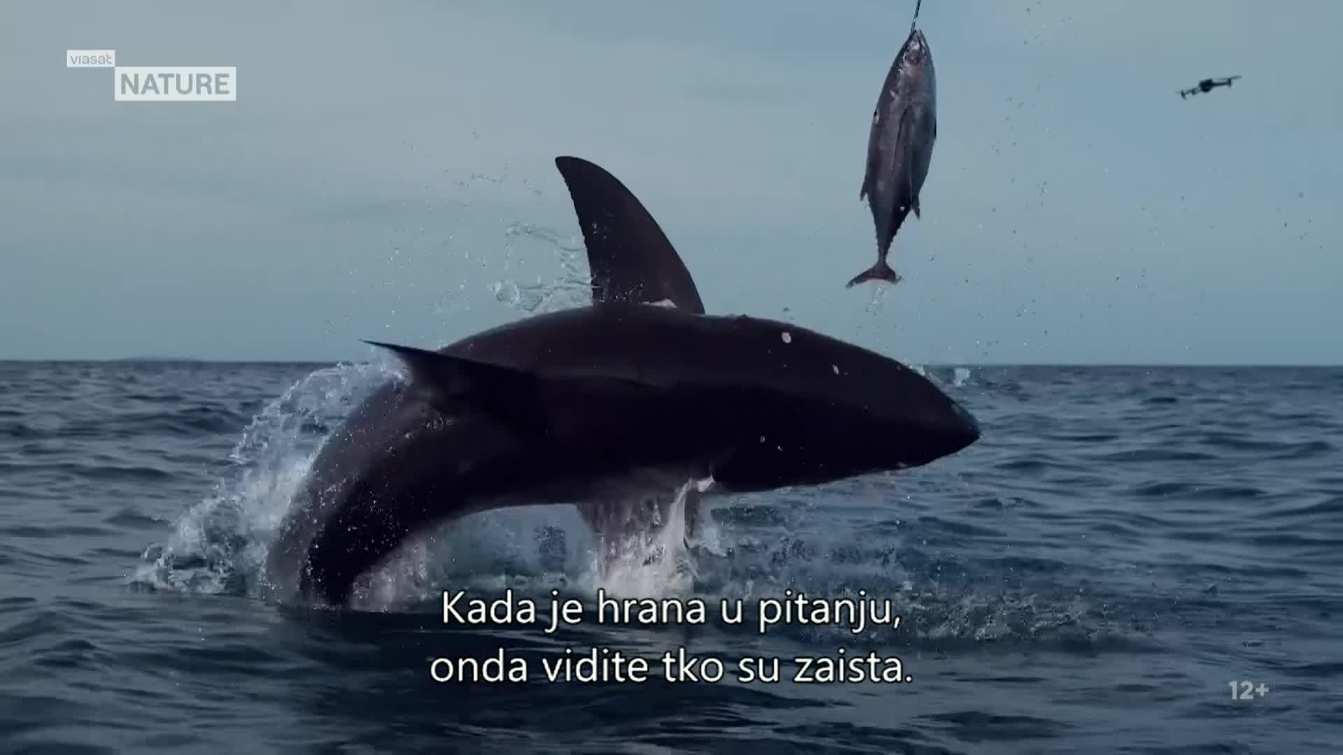 ViasatNature