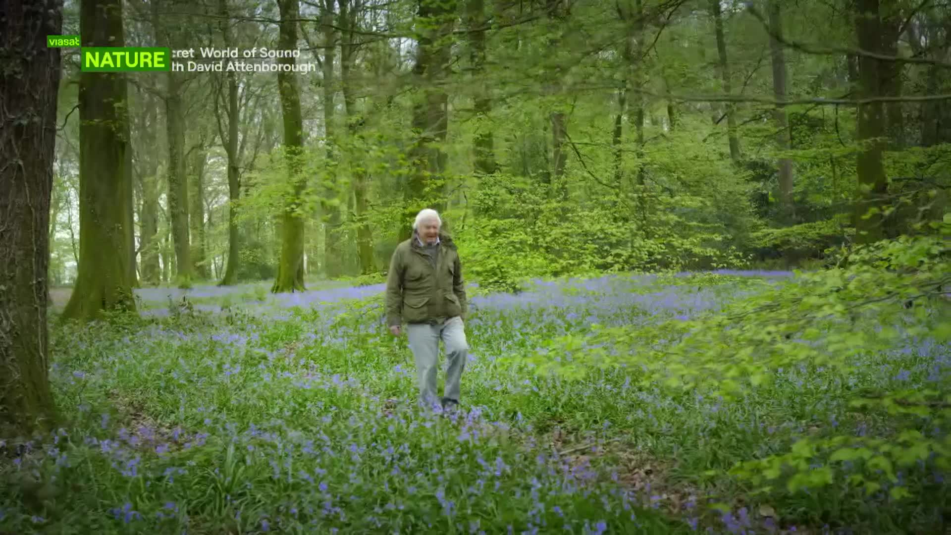 ViasatNature