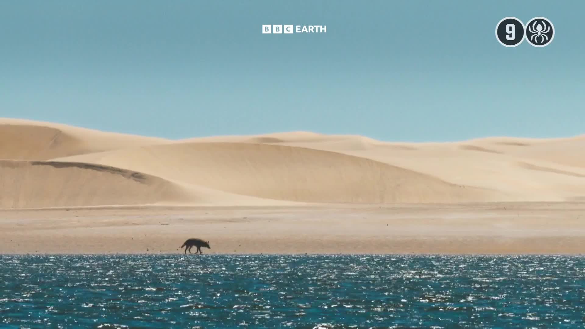 BBCEarth