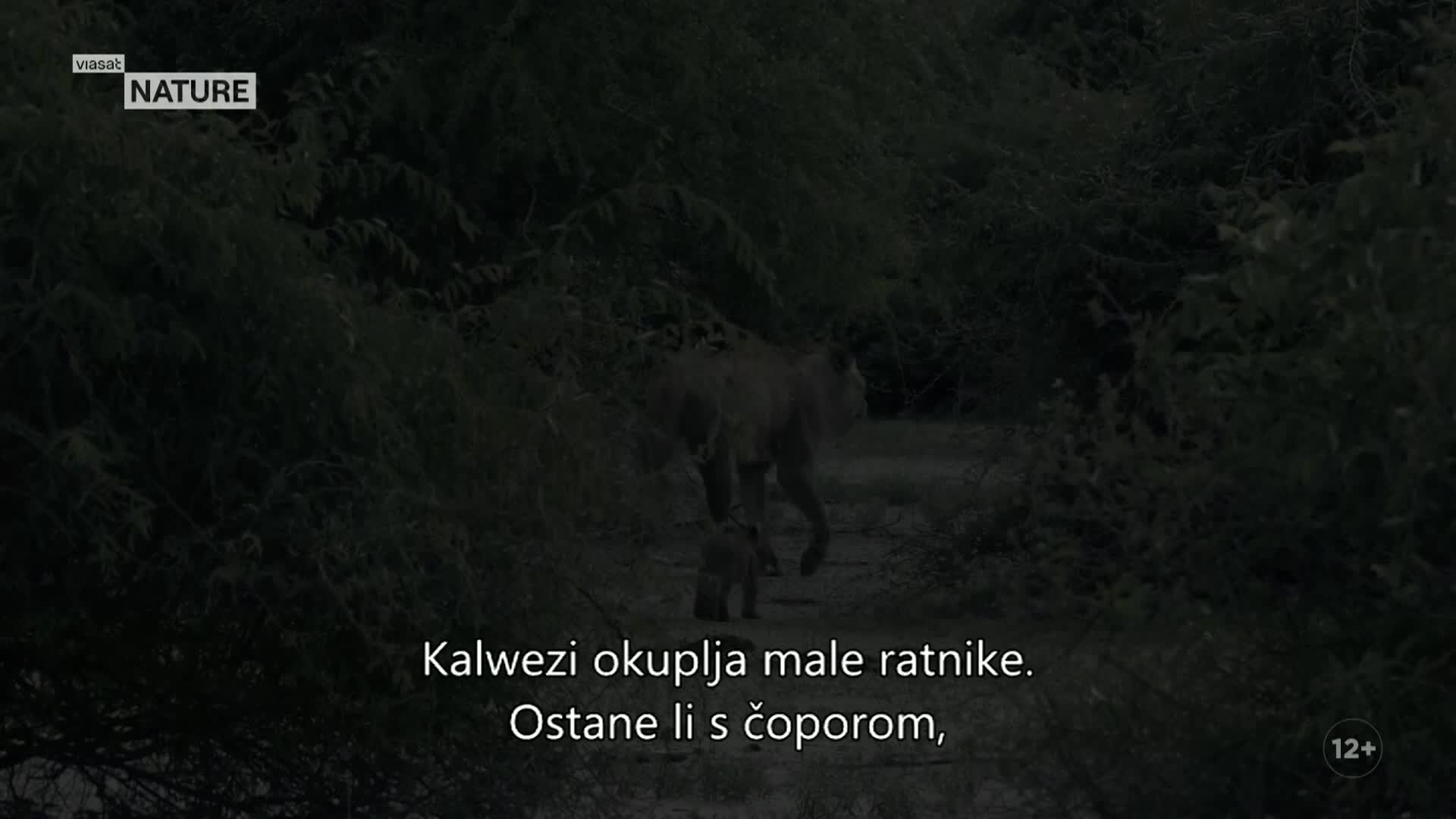 ViasatNature