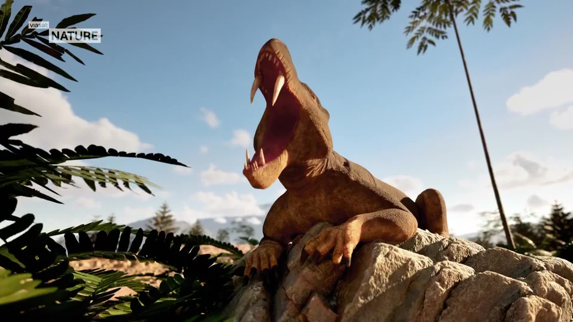 ViasatNature
