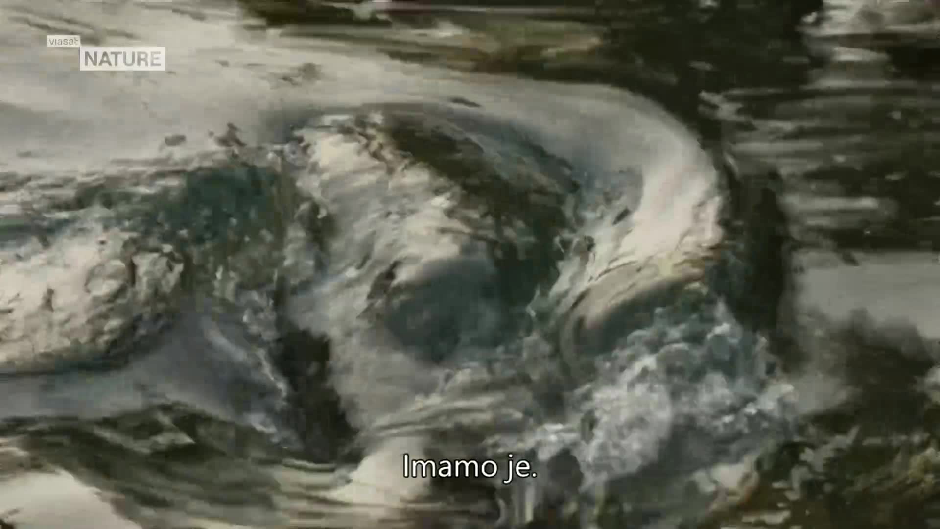 ViasatNature