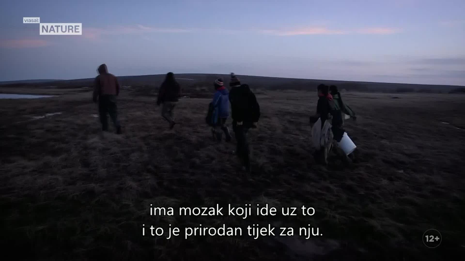 ViasatNature
